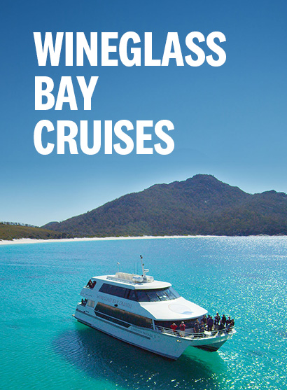 Wineglass Bay Cruises